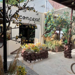 Sang quán coffee 600m² cực đẹp khu bàn cờ trung tâm Nha Trang
